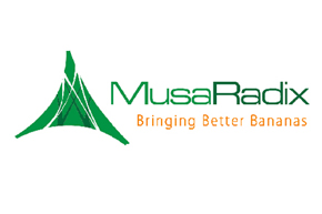 MusaRadix logo