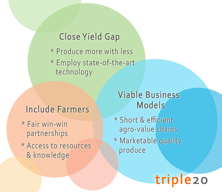 Triple20 Sustainability Triangle