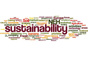 Word cloud about sustainability